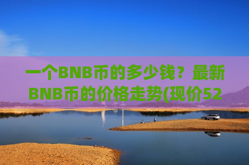 一个BNB币的多少钱？最新BNB币的价格走势(现价5299.69元)
