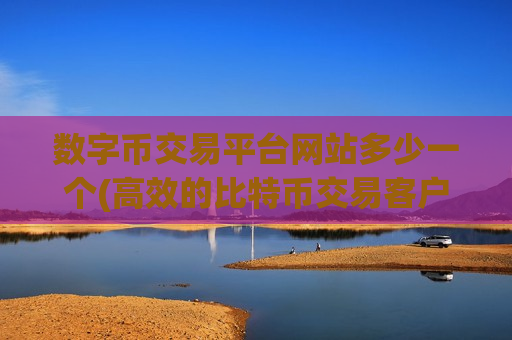 数字币交易平台网站多少一个(高效的比特币交易客户端)