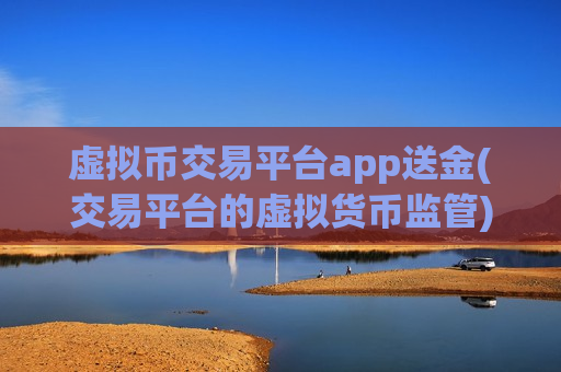 虚拟币交易平台app送金(交易平台的虚拟货币监管)