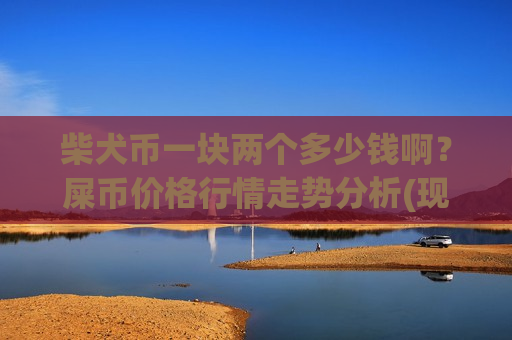 柴犬币一块两个多少钱啊？屎币价格行情走势分析(现价0.00019825元)