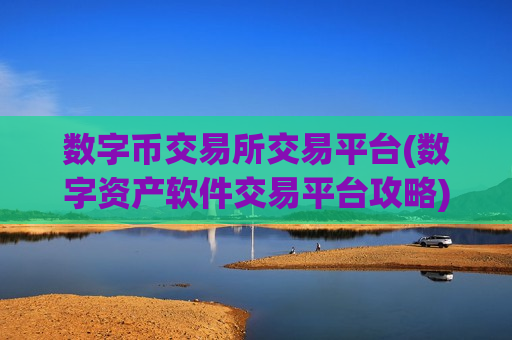 数字币交易所交易平台(数字资产软件交易平台攻略)