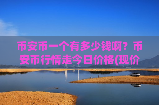 币安币一个有多少钱啊？币安币行情走今日价格(现价5298.89元)
