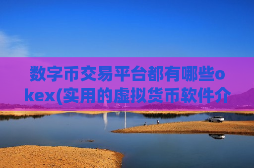 数字币交易平台都有哪些okex(实用的虚拟货币软件介绍)