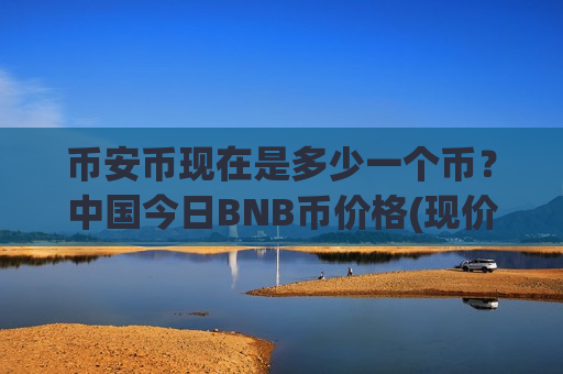 币安币现在是多少一个币？中国今日BNB币价格(现价5300.79元)