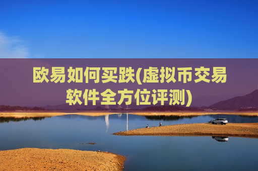 欧易如何买跌(虚拟币交易软件全方位评测)