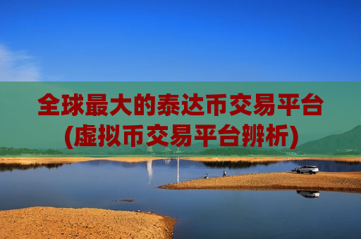 全球最大的泰达币交易平台(虚拟币交易平台辨析)