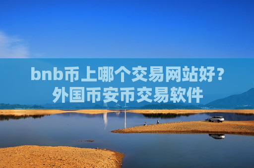 bnb币上哪个交易网站好？外国币安币交易软件
