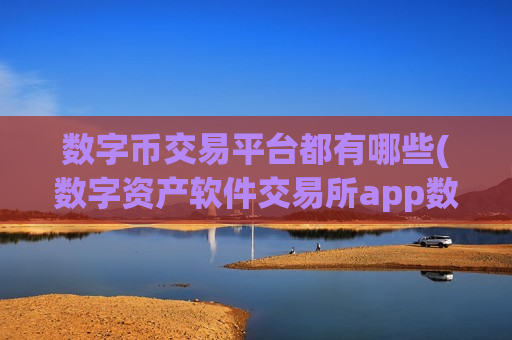 数字币交易平台都有哪些(数字资产软件交易所app数字资产)