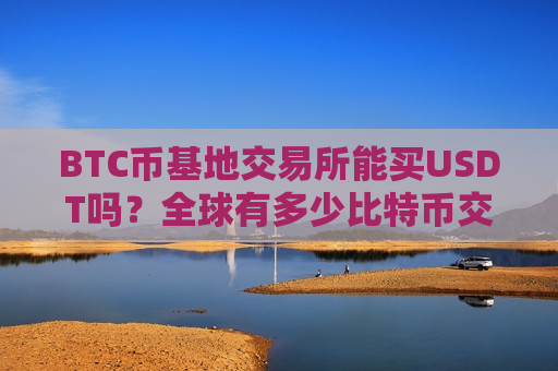 BTC币基地交易所能买USDT吗？全球有多少比特币交易所