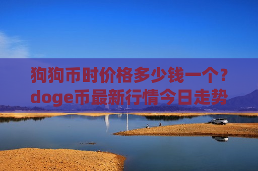 狗狗币时价格多少钱一个？doge币最新行情今日走势图表(现价2.9203元)