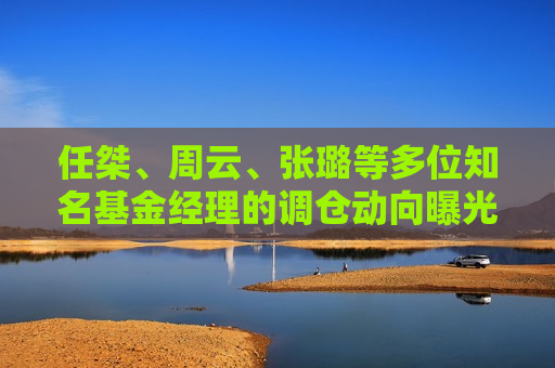 任桀、周云、张璐等多位知名基金经理的调仓动向曝光