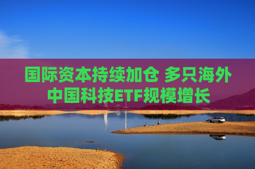 国际资本持续加仓 多只海外中国科技ETF规模增长