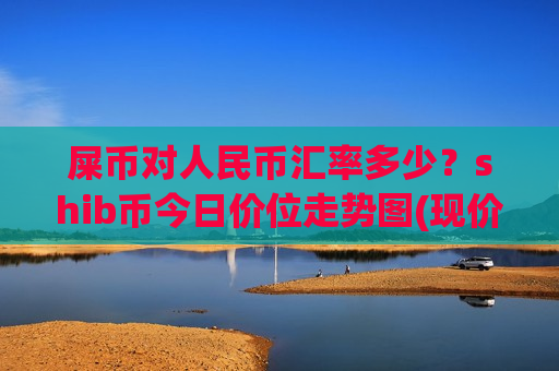 屎币对人民币汇率多少？shib币今日价位走势图(现价0.0001607元)