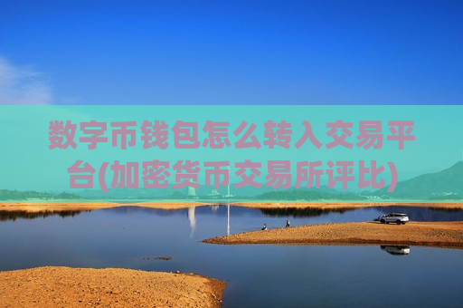 数字币钱包怎么转入交易平台(加密货币交易所评比)