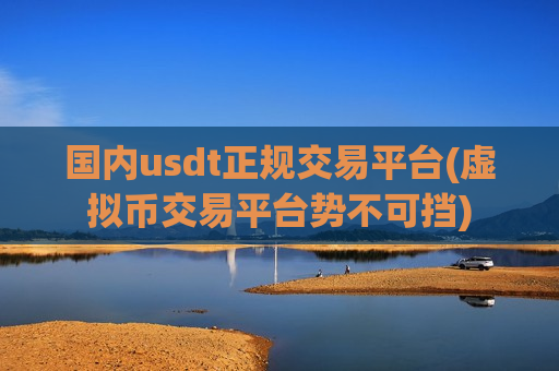 国内usdt正规交易平台(虚拟币交易平台势不可挡)