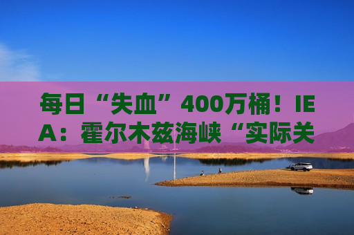 每日“失血”400万桶！IEA：霍尔木兹海峡“实际关闭”，全球石油库存正以历史最快速度蒸发