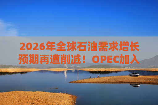 2026年全球石油需求增长预期再遭削减！OPEC加入IEA下调大军但更显“温柔”