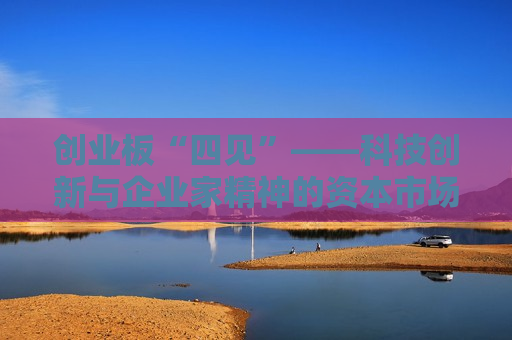 创业板“四见”——科技创新与企业家精神的资本市场镜像