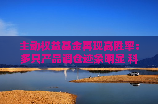 主动权益基金再现高胜率：多只产品调仓迹象明显 科技主线仍被机构看好