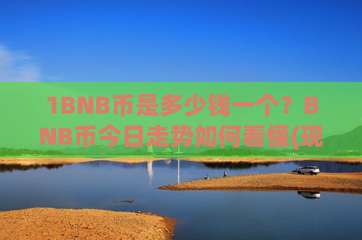 1BNB币是多少钱一个？BNB币今日走势如何看懂(现价4865.36元)