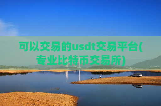 可以交易的usdt交易平台(专业比特币交易所)