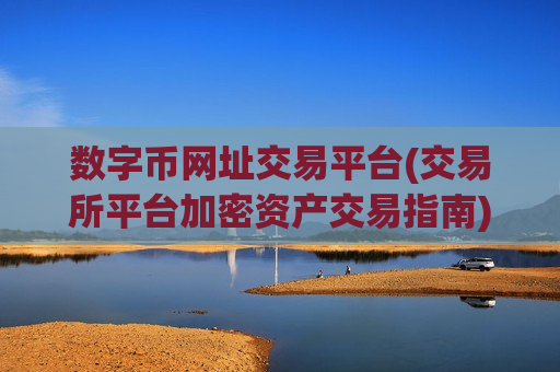 数字币网址交易平台(交易所平台加密资产交易指南)