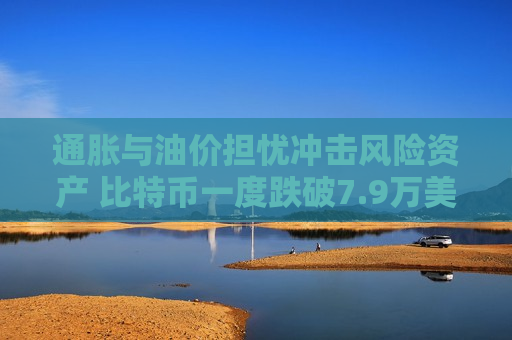 通胀与油价担忧冲击风险资产 比特币一度跌破7.9万美元至两周低点 加密概念股全线下跌