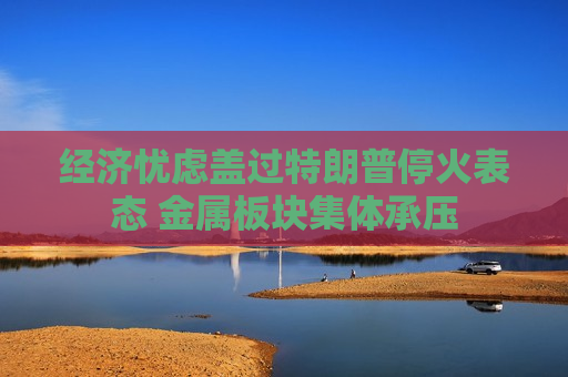 经济忧虑盖过特朗普停火表态 金属板块集体承压 经济忧虑盖过特朗普停火表态 金属板块集体承压