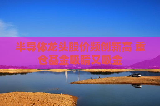 半导体龙头股价频创新高 重仓基金吸睛又吸金 半导体龙头股价频创新高 重仓基金吸睛又吸金