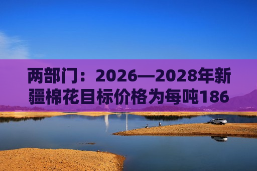 两部门：2026—2028年新疆棉花目标价格为每吨18600元