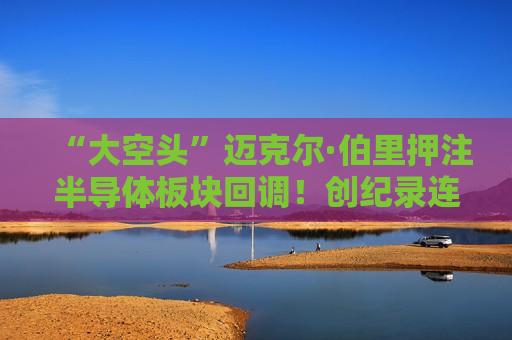 “大空头”迈克尔·伯里押注半导体板块回调！创纪录连涨之际建立SOXX ETF空头头寸