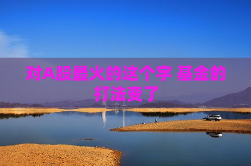 对A股最火的这个字 基金的打法变了
