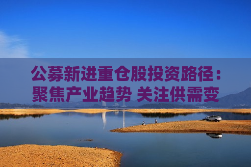 公募新进重仓股投资路径：聚焦产业趋势 关注供需变化