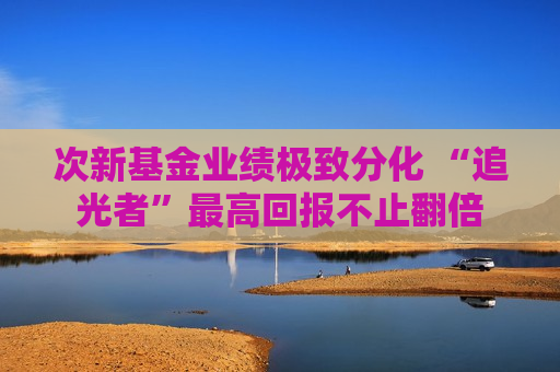 次新基金业绩极致分化 “追光者”最高回报不止翻倍