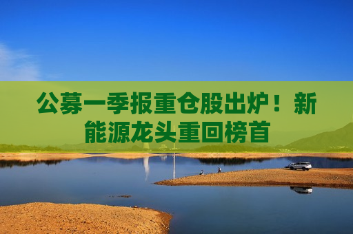 公募一季报重仓股出炉！新能源龙头重回榜首