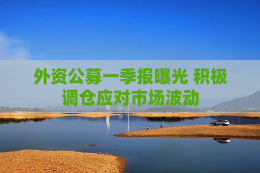 外资公募一季报曝光 积极调仓应对市场波动