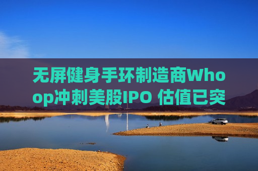 无屏健身手环制造商Whoop冲刺美股IPO 估值已突破百亿美元 