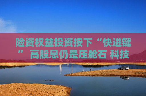 险资权益投资按下“快进键” 高股息仍是压舱石 科技赛道