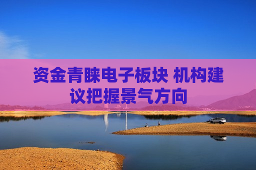 资金青睐电子板块 机构建议把握景气方向
