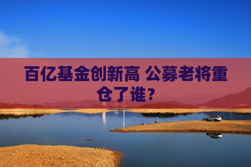 百亿基金创新高 公募老将重仓了谁？