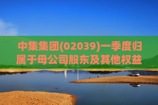 中集集团(02039)一季度归属于母公司股东及其他权益持有者的净利润2.09亿元