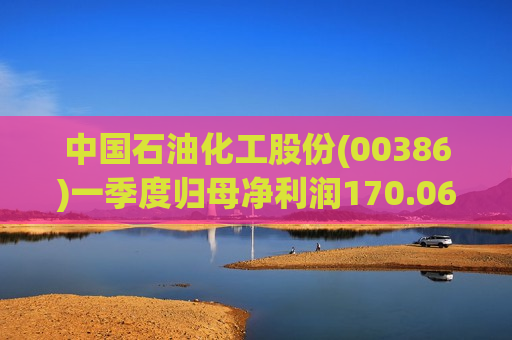中国石油化工股份(00386)一季度归母净利润170.06亿元，同比增长28.2%
