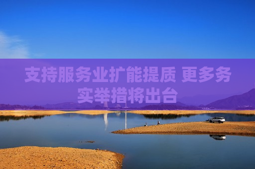 支持服务业扩能提质 更多务实举措将出台
