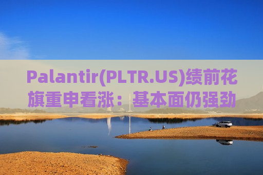 Palantir(PLTR.US)绩前花旗重申看涨：基本面仍强劲 增长动能将持续