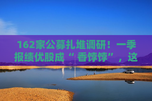 162家公募扎堆调研！一季报绩优股成“ 香饽饽”，这些高景气赛道藏不住了