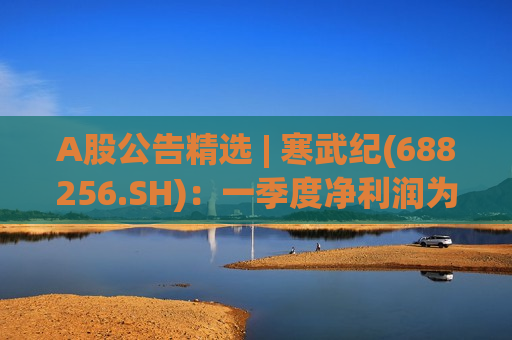 A股公告精选 | 寒武纪(688256.SH)：一季度净利润为10.13亿元 同比增长185.04%