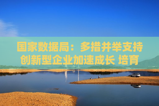 国家数据局：多措并举支持创新型企业加速成长 培育一批数据领域明星企业