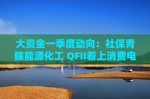 大资金一季度动向：社保青睐能源化工 QFII看上消费电子