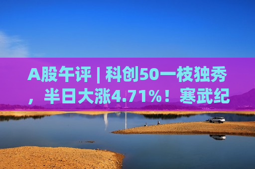 A股午评 | 科创50一枝独秀，半日大涨4.71%！寒武纪涨17%重夺“股王”宝座