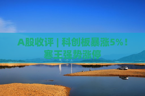 A股收评 | 科创板暴涨5%！寒王强势涨停